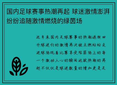 国内足球赛事热潮再起 球迷激情澎湃纷纷追随激情燃烧的绿茵场