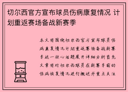 切尔西官方宣布球员伤病康复情况 计划重返赛场备战新赛季